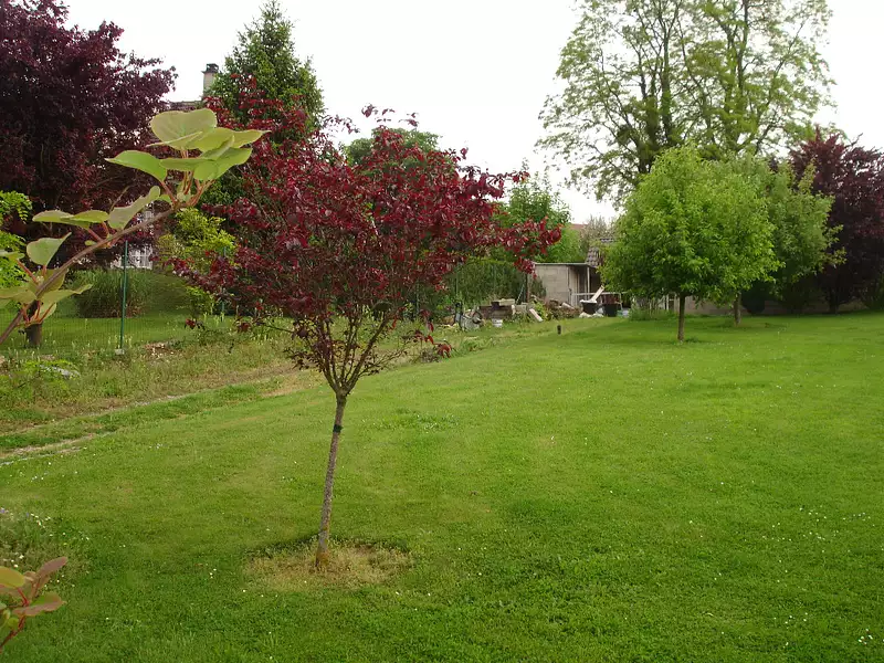 Maison neuve, 109 m² - Héricy (77850)