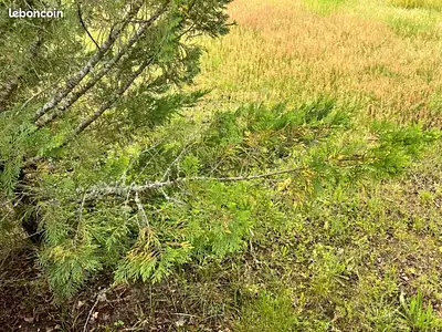 Maison neuve, 90 m²