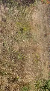 Maison neuve, 227 m²