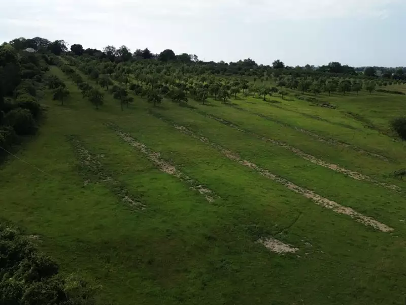 Terrain à bâtir, 775 m² - Cambremer (14340)