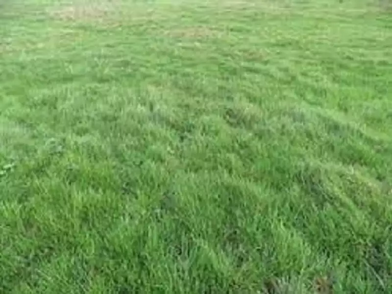 Terrain à bâtir, 553 m² - Saintry-sur-Seine (91250)