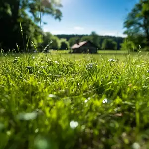 Maison neuve, 80 m²