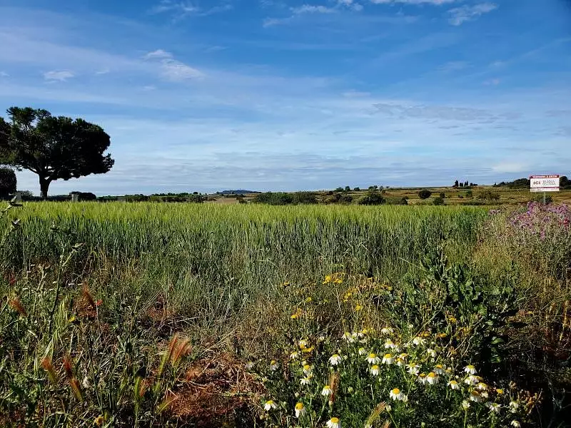 Maison neuve, 90 m² - Marseillan (34340)