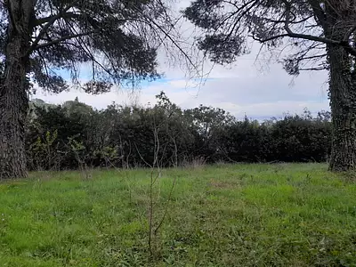 Maison neuve, 65 m²