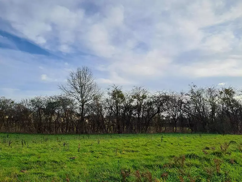 Terrain à bâtir, 398 m² - Val d'Erdre-Auxence (49370)