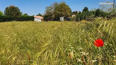 Terrain à bâtir, 703 m²