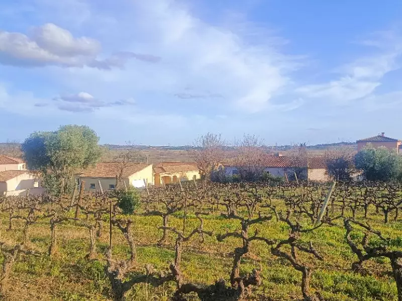 Terrain à bâtir, 1 643 m² - Autignac (34480)