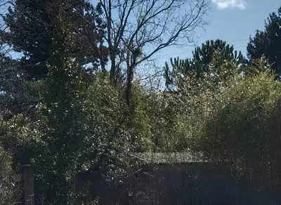 Terrain à bâtir, 325 m²