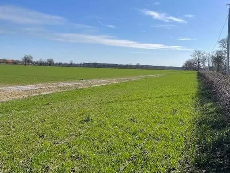 Terrain à bâtir, 1 400 m² - Vitry-en-Charollais (71600)