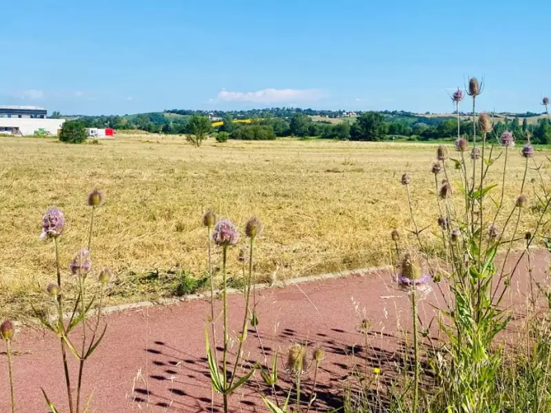 Maison neuve, 81 m² - Sainte-Foy-d'Aigrefeuille (31570)