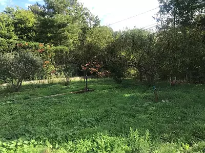 Terrain à bâtir, 747 m²