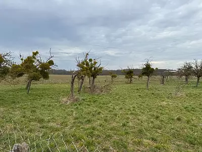 Terrain à bâtir, 464 m²
