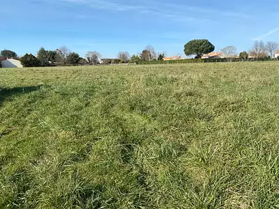 Maison neuve, 90 m²