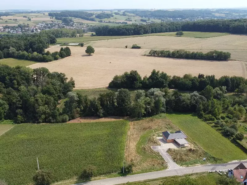 Rue Principale - Ruederbach (68560)