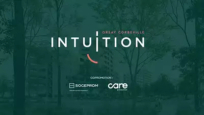 Intuition