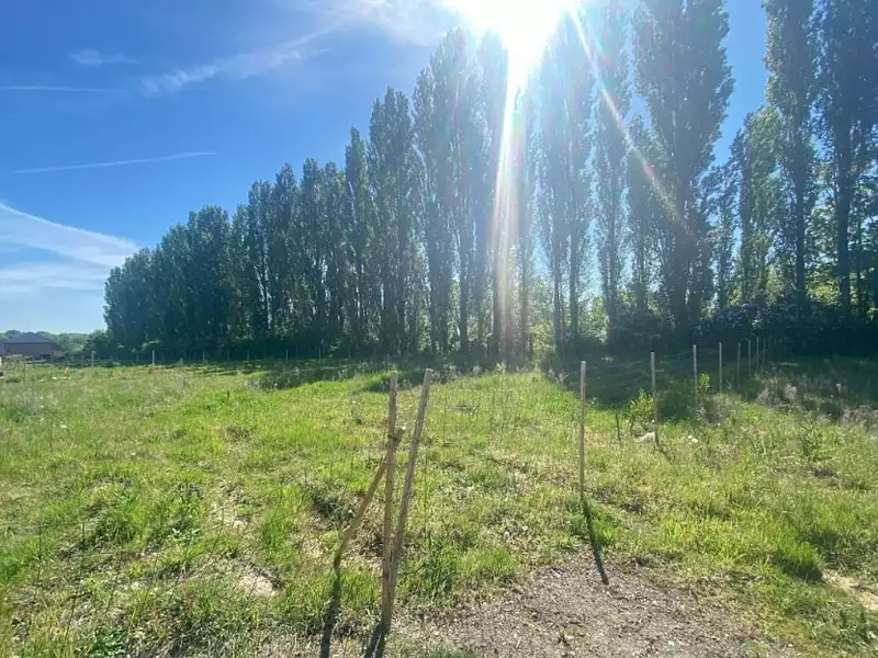 Terrain à bâtir, 700 m² - Mérignies (59710)