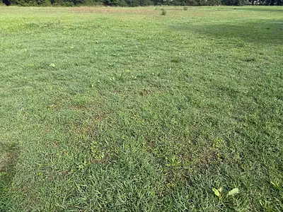 Maison neuve, 105 m²