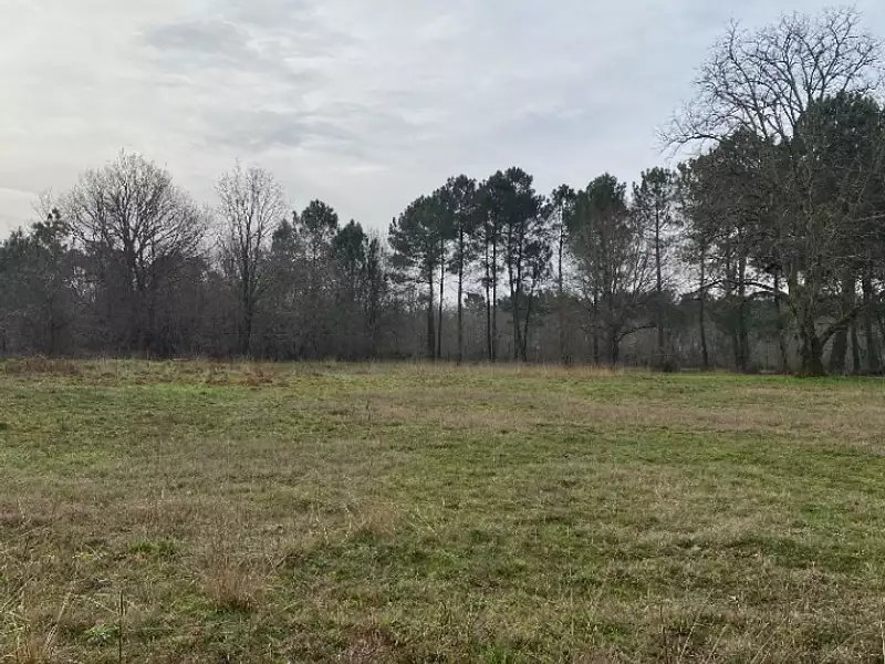 Terrain à bâtir, 450 m² - Le Teich (33470)