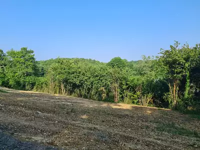 Maison neuve, 90 m²