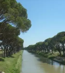 Terrain à bâtir, 335 m²