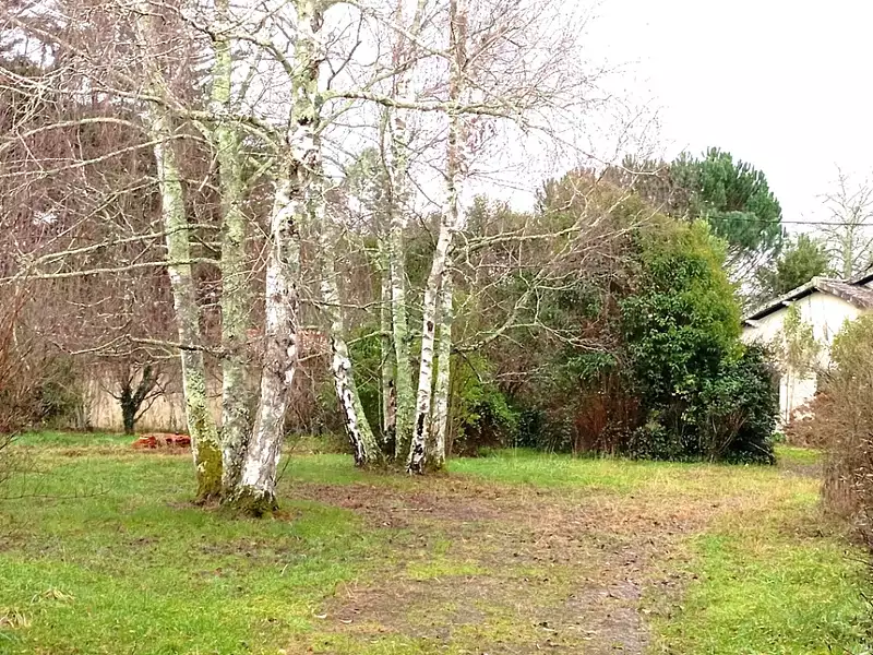Terrain à bâtir, 790 m² - Carignan-de-Bordeaux (33360)