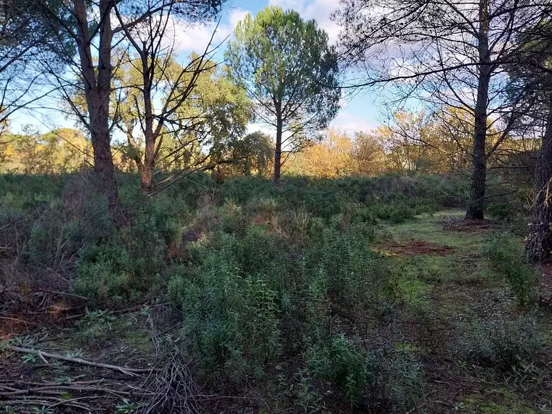 Terrain à bâtir, 656 m² - Puget-sur-Argens (83480)