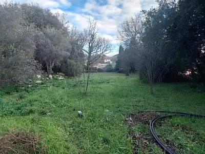 Terrain à bâtir, 970 m²