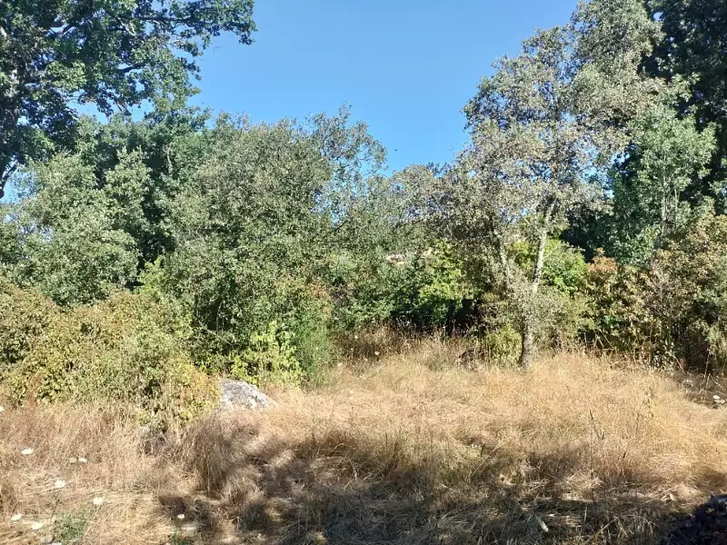 Maison neuve, 100 m² - Camps-la-Source (83170)