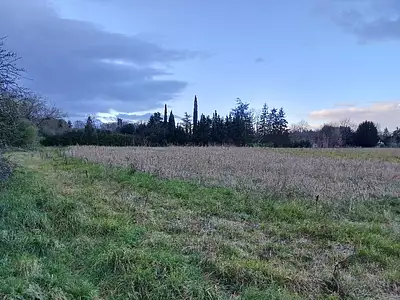 Maison neuve, 50 m²