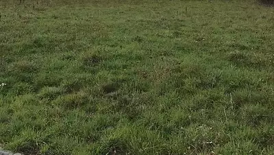 Terrain à bâtir, 800 m²