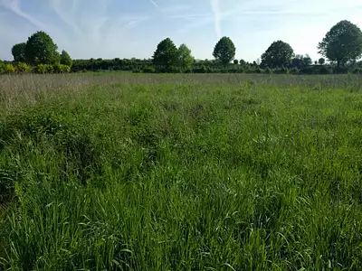 Terrain à bâtir, 944 m²
