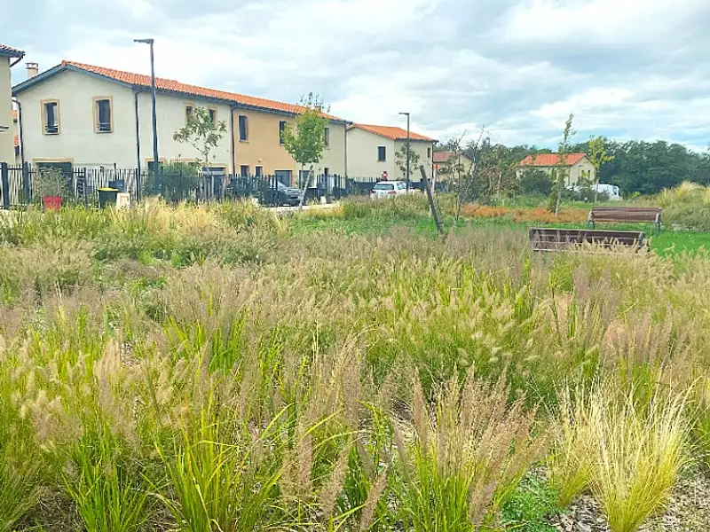 Terrain à bâtir, 701 m² - Montanay (69250)