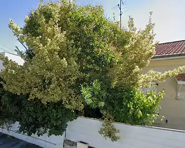 Terrain à bâtir, 555 m²