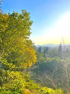 Terrain à bâtir, 1 850 m²