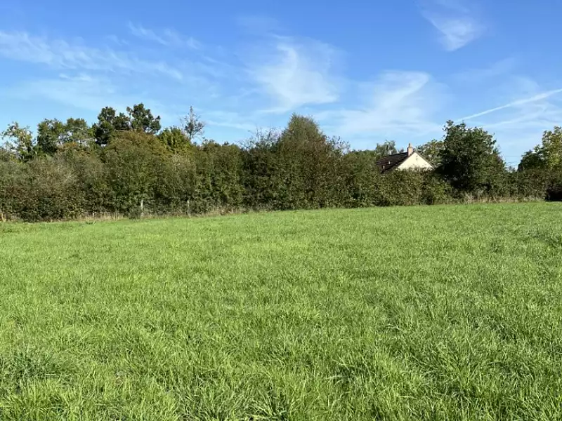 Terrain à bâtir, 768 m² - Mamers (72600)