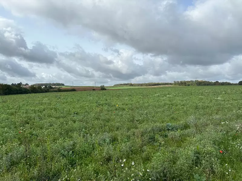 Terrain à bâtir, 285 m² - Ottange (57840)