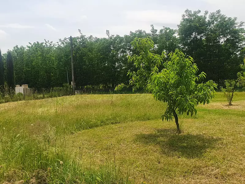 Terrain à bâtir, 1 101 m² - Pont-de-Veyle (01290)