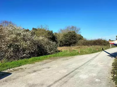 Terrain à bâtir, 313 m²