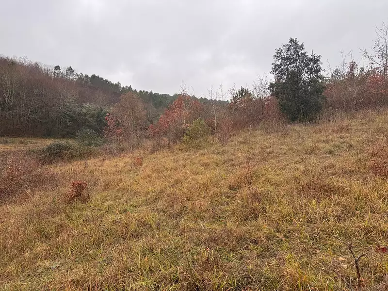 Terrain à bâtir, 1 600 m² - Trélissac (24750)