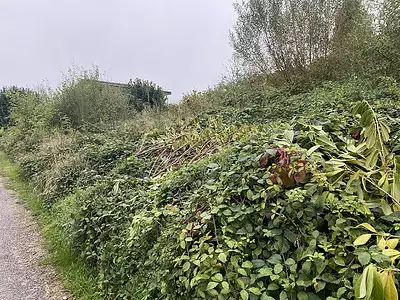 Terrain à bâtir, 1 000 m²