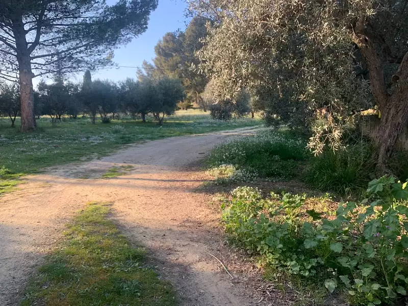 Terrain à bâtir, 476 m²