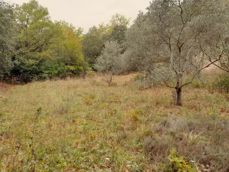 Maison neuve, 60 m² - Saint-Maximin-la-Sainte-Baume (83470)