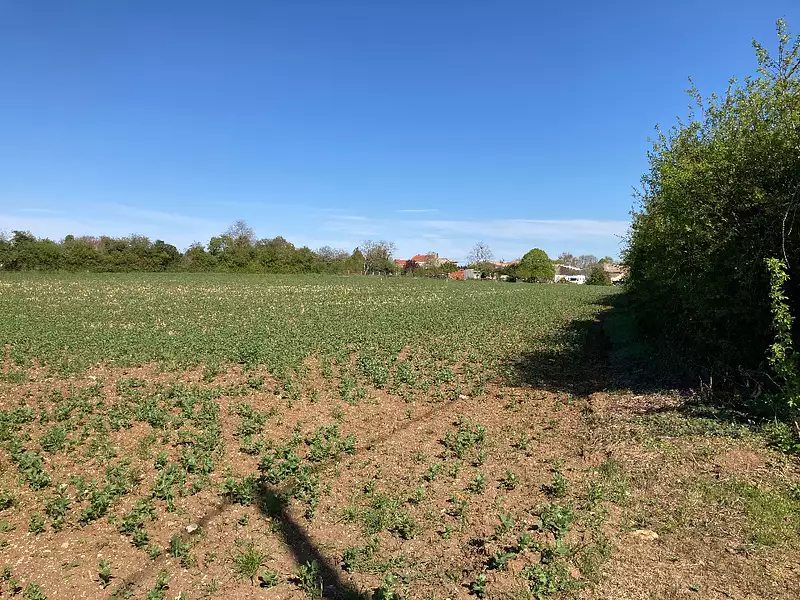 Maison neuve, 125 m² - Champagnolles (17240)