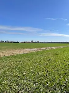 Maison neuve, 90 m²