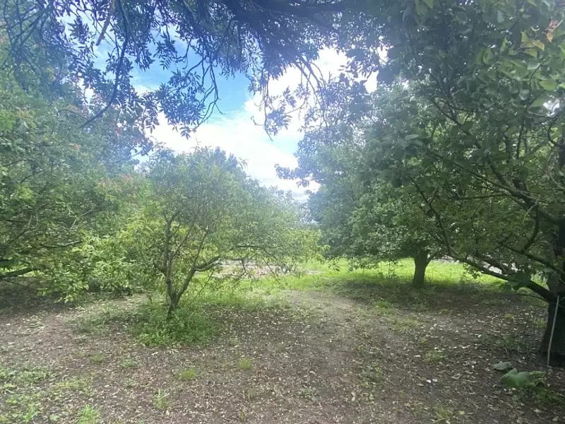Terrain à bâtir, 1 050 m² - Saint-Froult (17780)