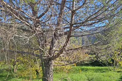 Maison neuve, 95 m²