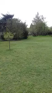 Terrain à bâtir, 1 200 m²