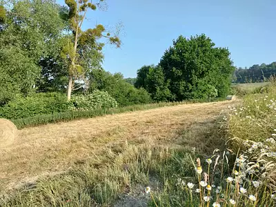 Maison neuve, 90 m² - Langan (35850)