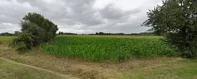 Maison neuve, 80 m²