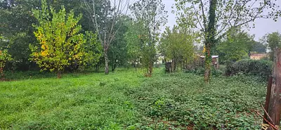 Terrain à bâtir, 1 292 m²